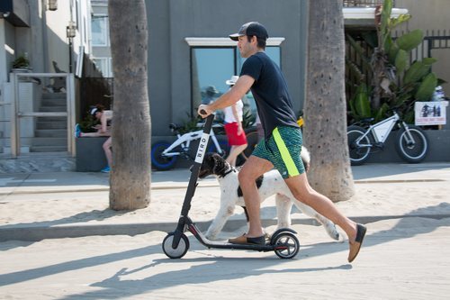 Las empresas de patinetes eléctricos están teniendo problemas en muchas ciudades europeas por la carencia de una normativa clara sobre su uso.