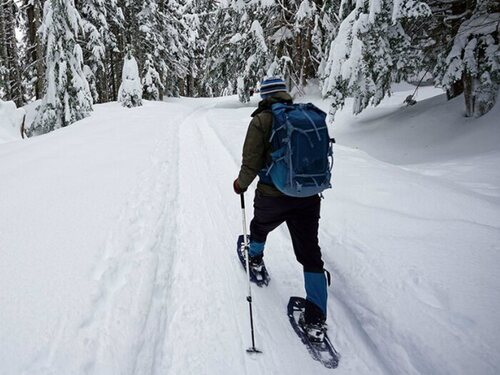 Ruta de raquetas en la nieve